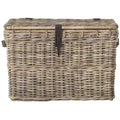 Amancio Trunk - SEA7021 - Grey - Safavieh